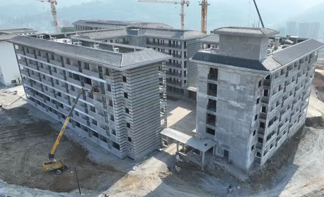 百色市隆林縣民俗文化交流中心